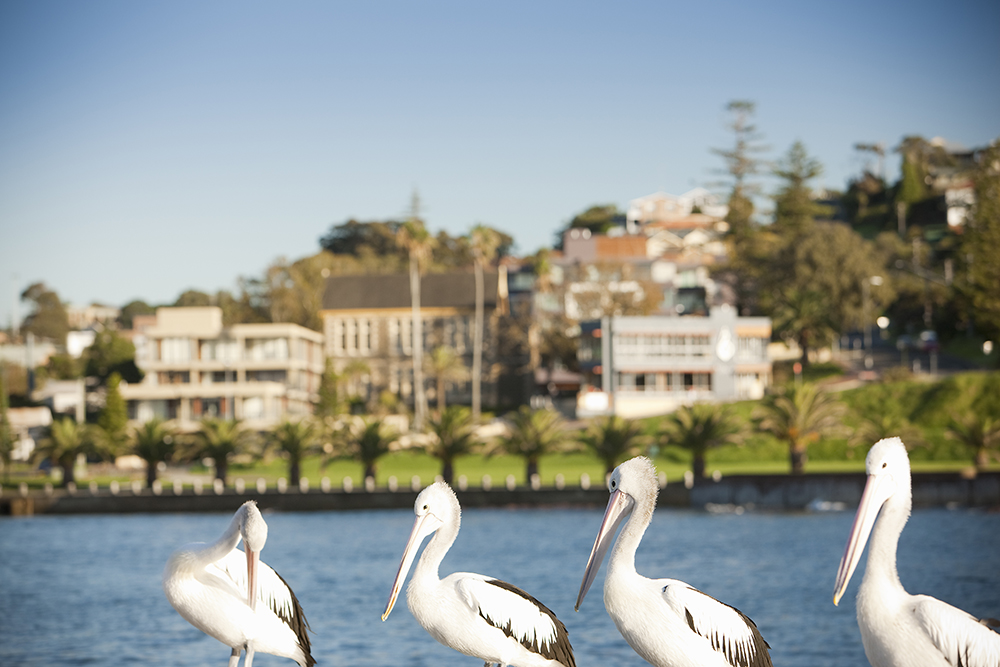 sebel-kiama-044